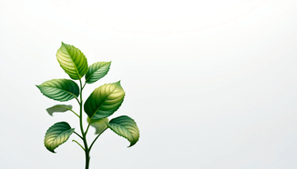 Käyttöpääomarahoitus yrityksen kasvun tueksi