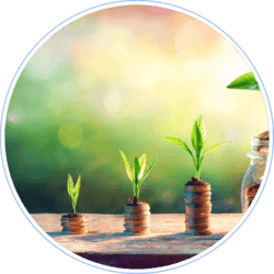 Kulutusluotto on mahdollista saada heti tilille