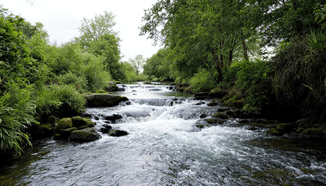 Lainojen siirtäminen: Yksi laina, pienemmät kulut